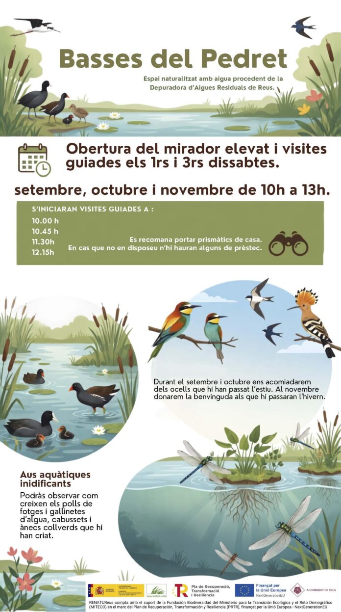 Cartell visites a les Basses del Pedret els dissabtes de tardor-20260827133907