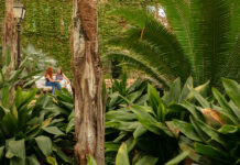 ‘Banys de Bosc’ al Parc Samà