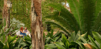 ‘Banys de Bosc’ al Parc Samà